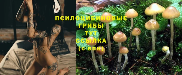 mix Армянск